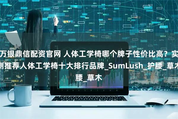 万银鼎信配资官网 人体工学椅哪个牌子性价比高？实测推荐人体工学椅十大排行品牌_SumLush_护腰_草木