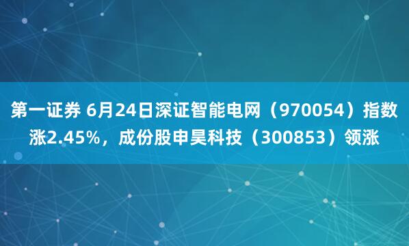 第一证券 6月24日深证智能电网（970054）指数涨2.45%，成份股申昊科技（300853）领涨